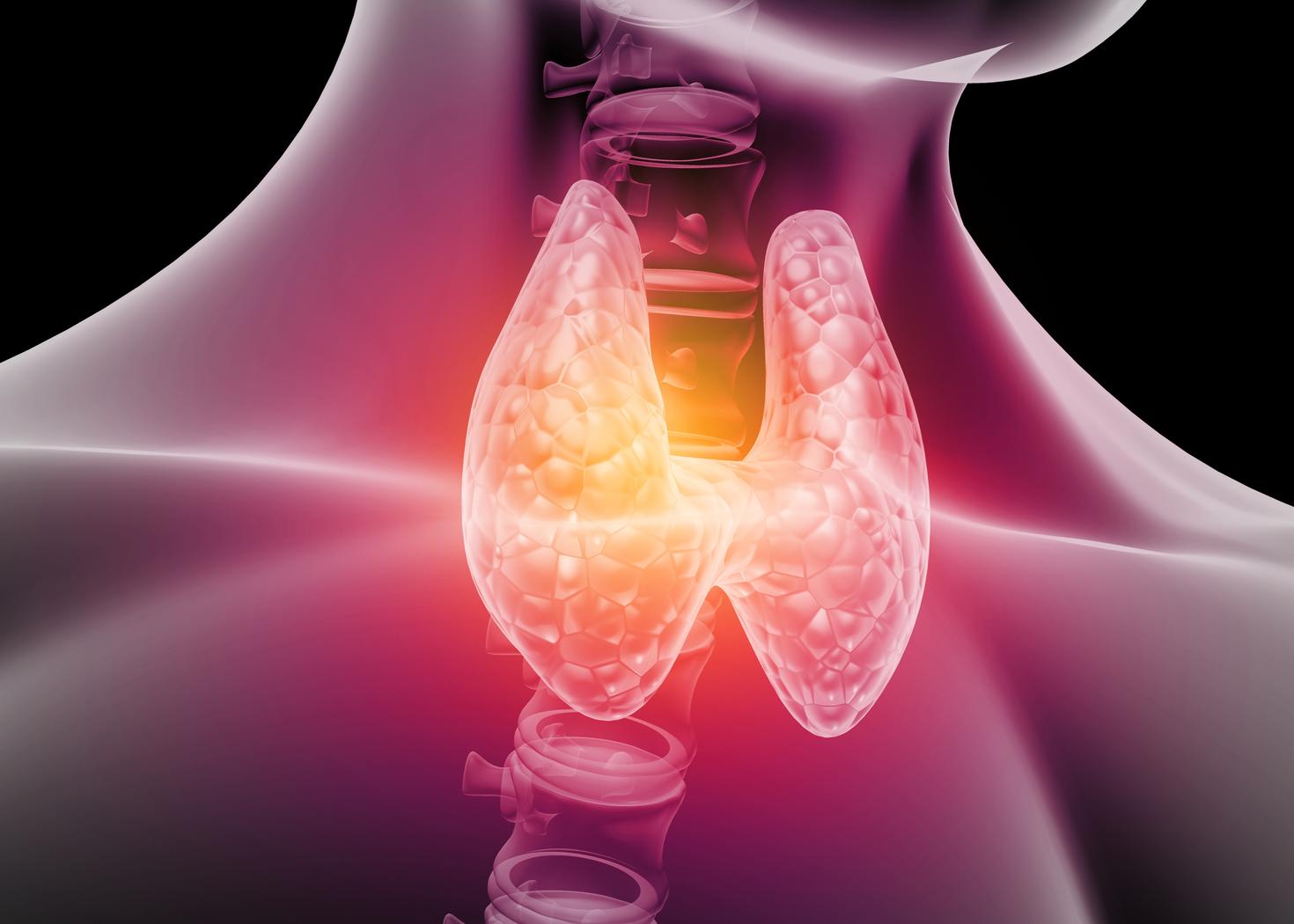 what-is-an-endocrinologist